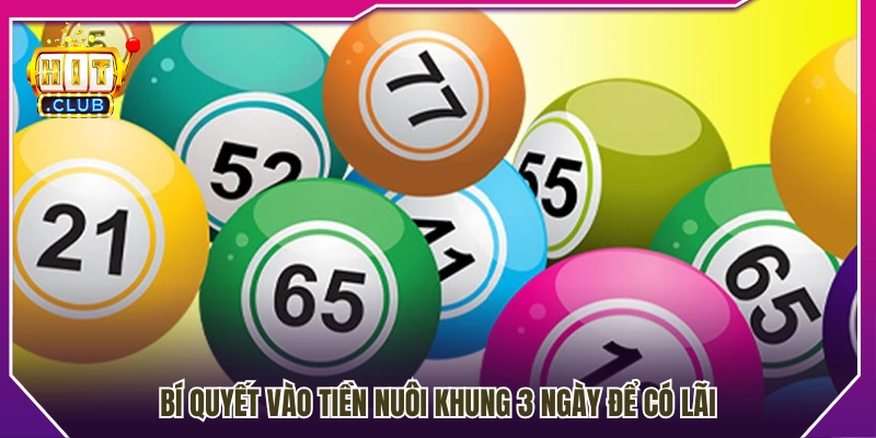 Cách phân bổ vốn khi nuôi lô khung 3 ngày có lãi 